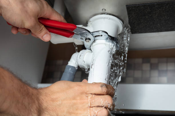 Best Water damage restoration near me  in Vienna, IL
