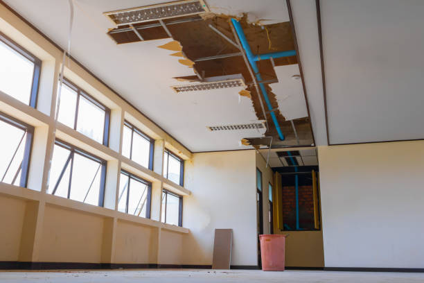 Reliable IL Water damage restoration Solutions