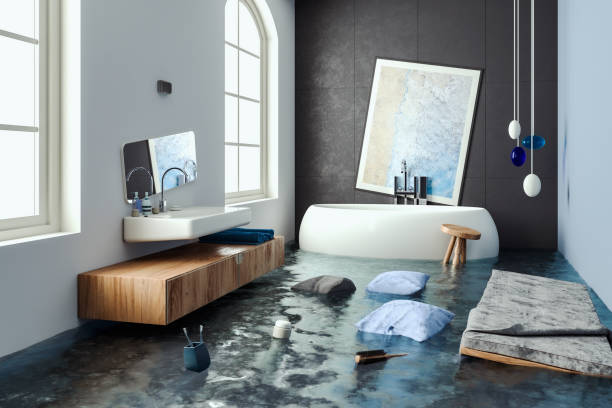 Best Professional water damage repair  in Vienna, IL