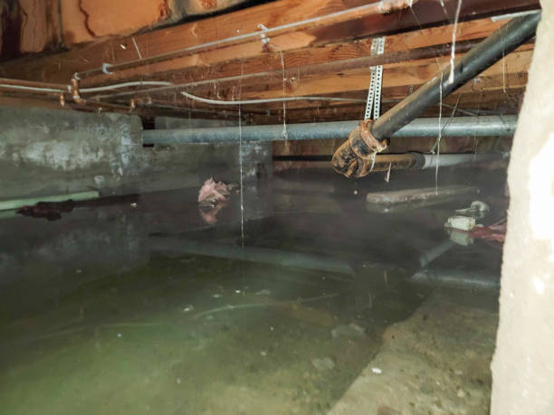 Best Residential water damage restoration  in Vienna, IL