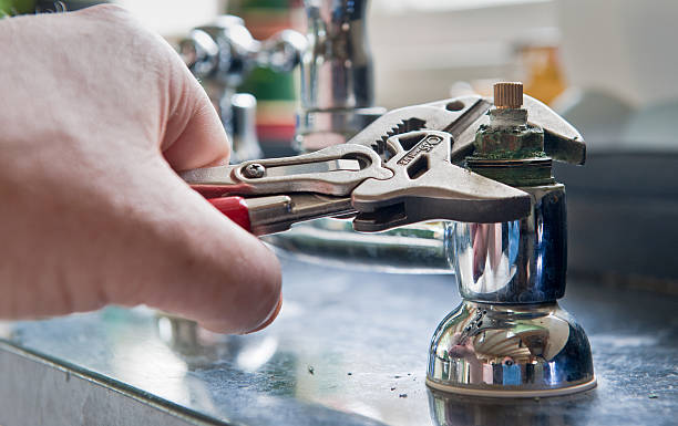 Best Basement water damage restoration  in Vienna, IL