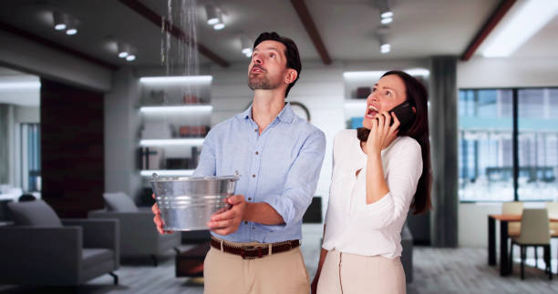 Best Emergency water damage restoration  in Vienna, IL