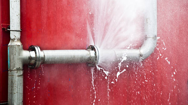 Best Professional water damage repair  in Vienna, IL