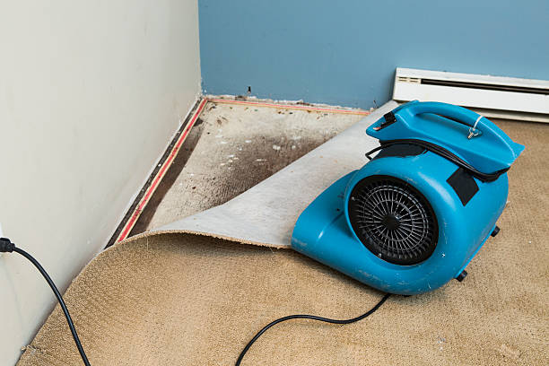 Best Flooded house restoration  in Vienna, IL